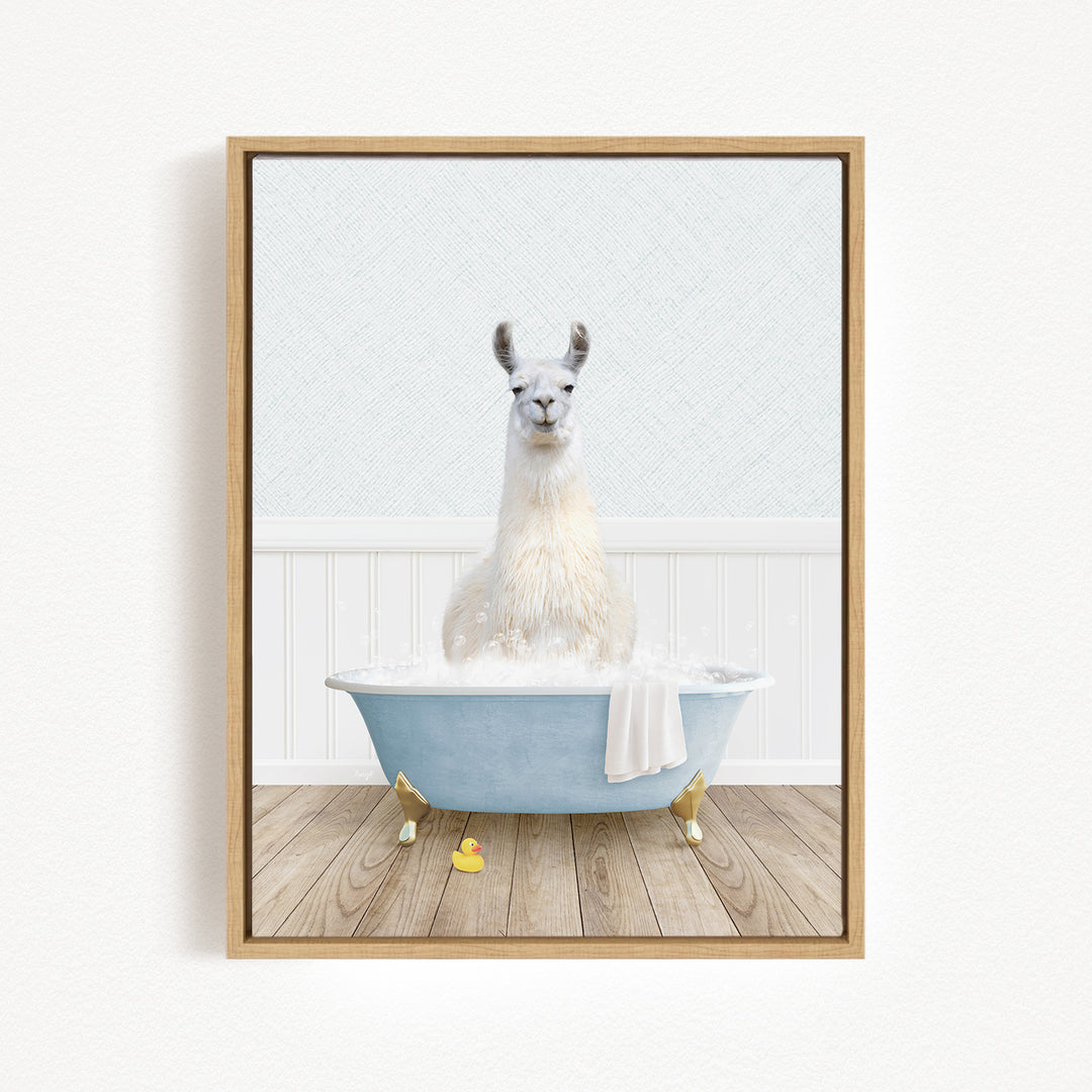 A white llama sitting in a blue bathtub filled with water, surrounded by rubber ducks.