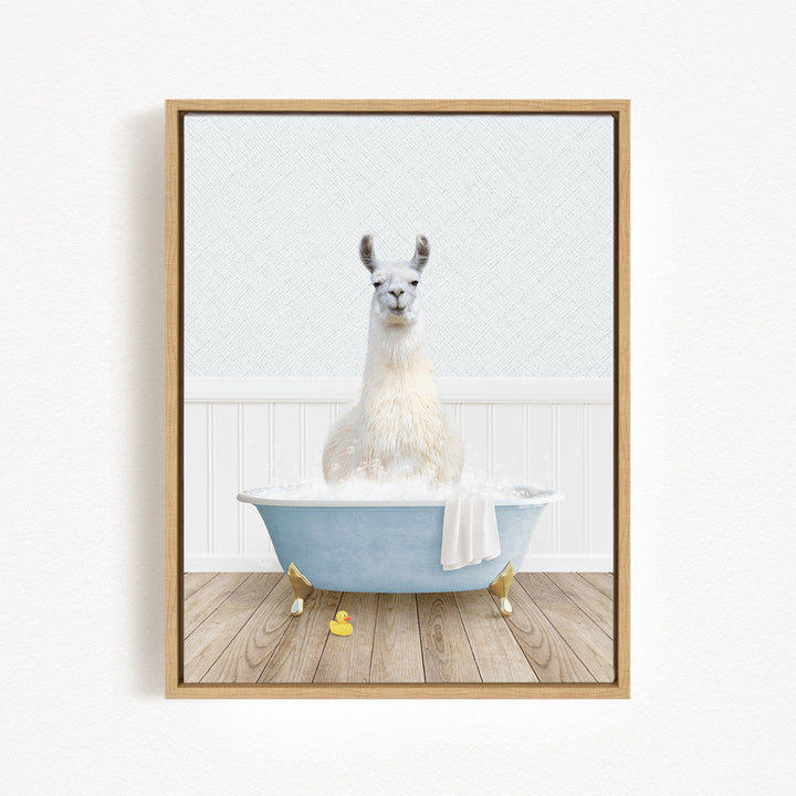 A white llama sitting in a blue bathtub filled with water, surrounded by rubber ducks.