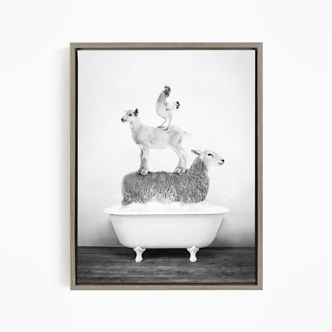A black and white image depicting three animals - a goat, a chicken, and a sheep - standing on top of a white bathtub filled with water.