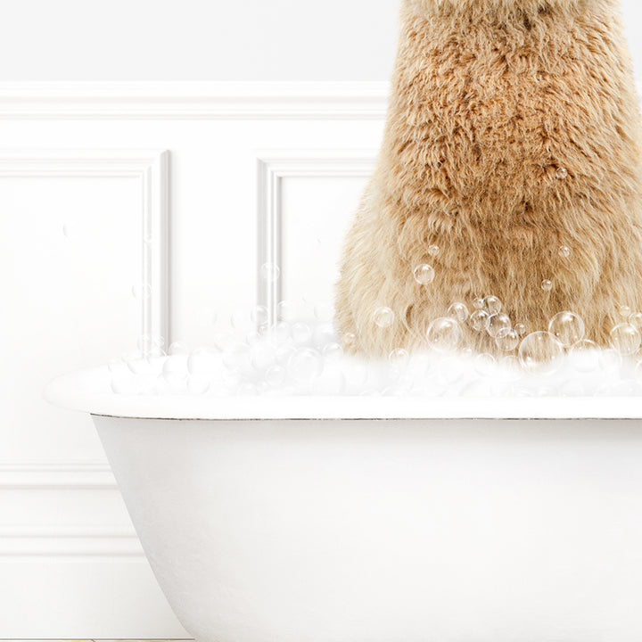 a brown bear sitting in a bathtub filled with bubbles