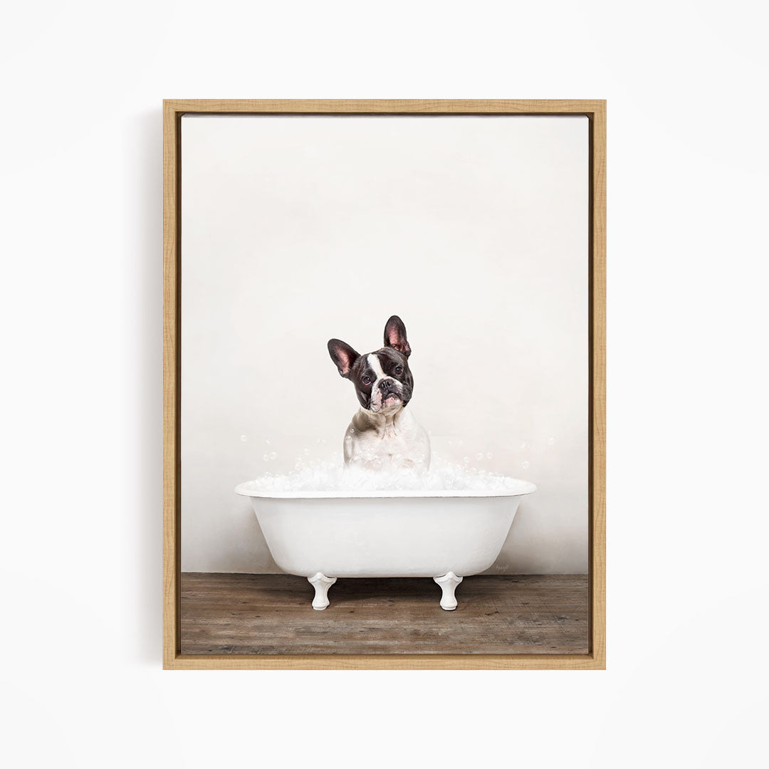 A dog sitting in a white bathtub filled with water, looking directly at the camera.