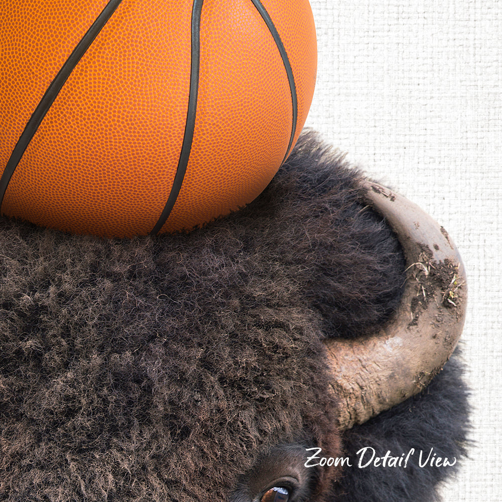 A close-up image of a bison's head with a basketball resting on top of it.