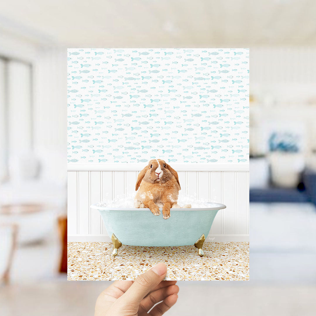 A hand holds up a collage of two images: one showing a brown rabbit sitting in a bathtub filled with bubbles, and the other showing a white rabbit sitting in a bathtub filled with bubbles.