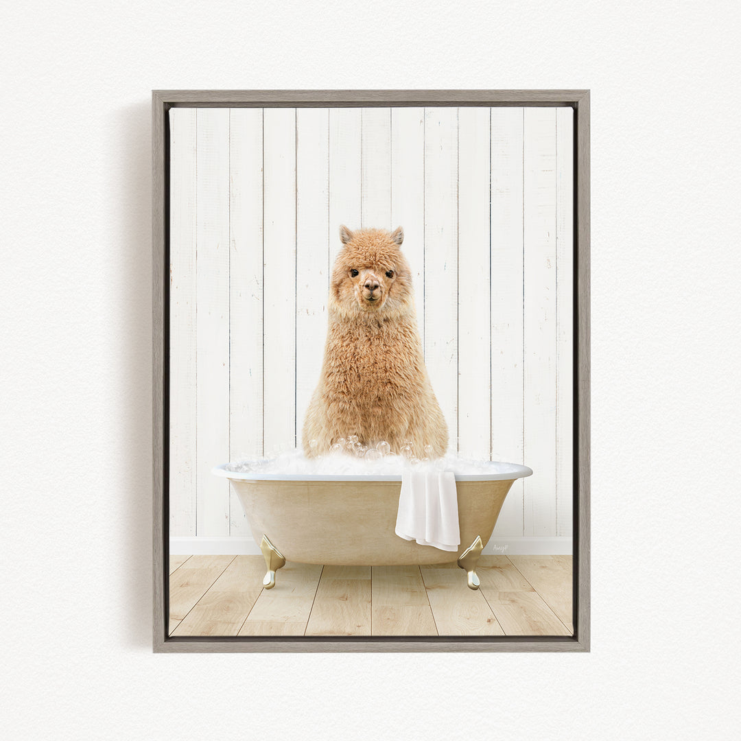 A fluffy brown dog sitting in a white bathtub filled with bubbles, with a towel draped over the side.