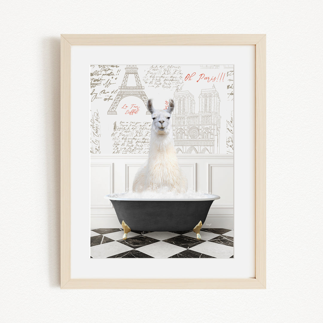 A white llama sitting in a black bathtub, with a framed picture of the Eiffel Tower in the background.