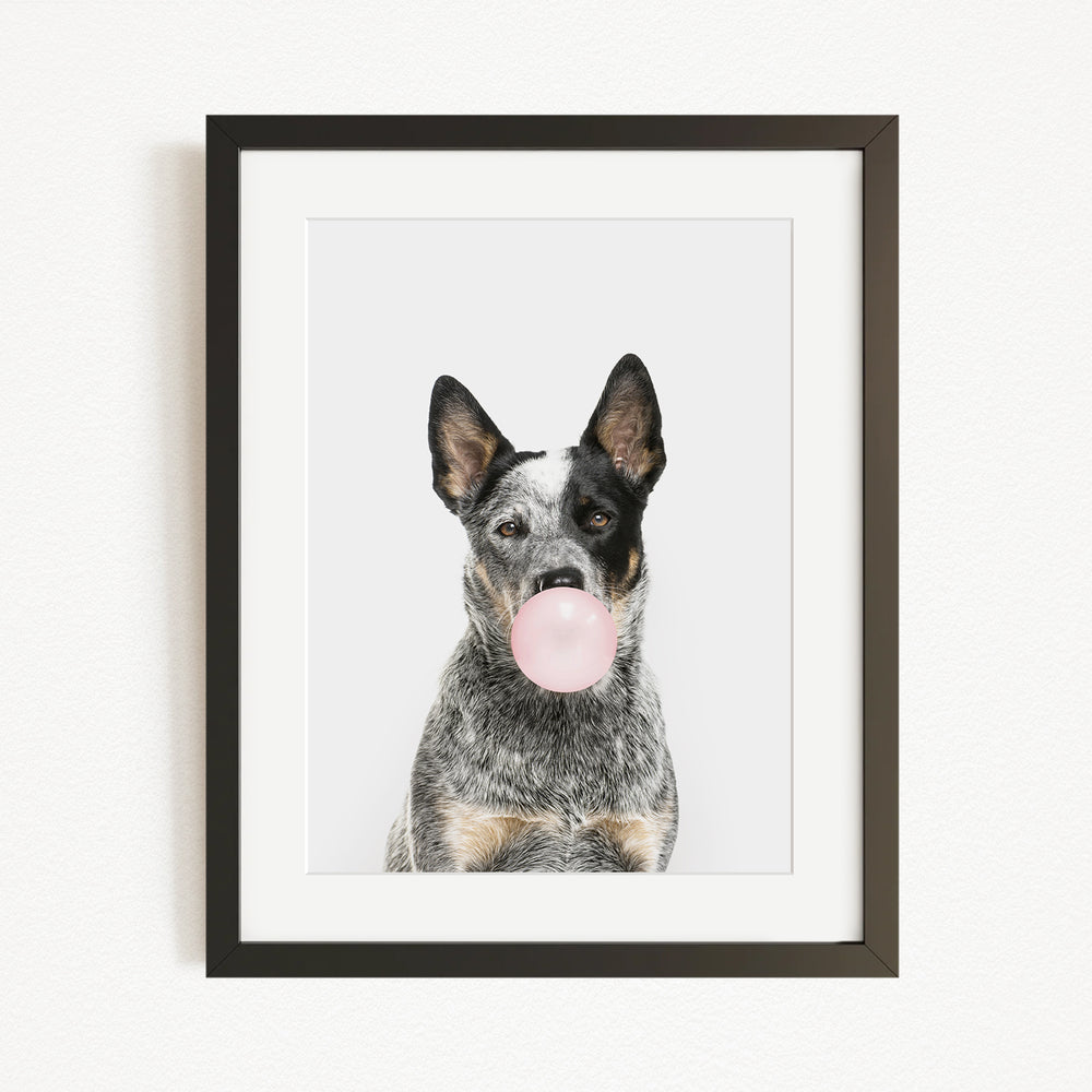 A black and white dog is blowing a bubble with a pink bubble gum bubble.