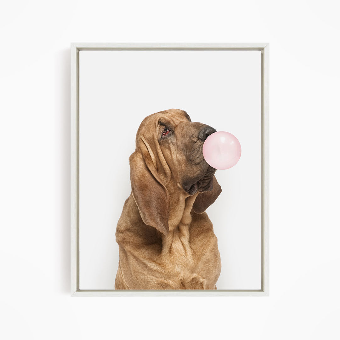 A brown dog is blowing a pink bubble with its mouth, looking up at the camera.