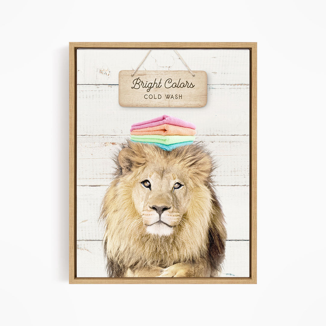A framed image of a lion with a sign above it that says "Bright Colors Cold Wash".