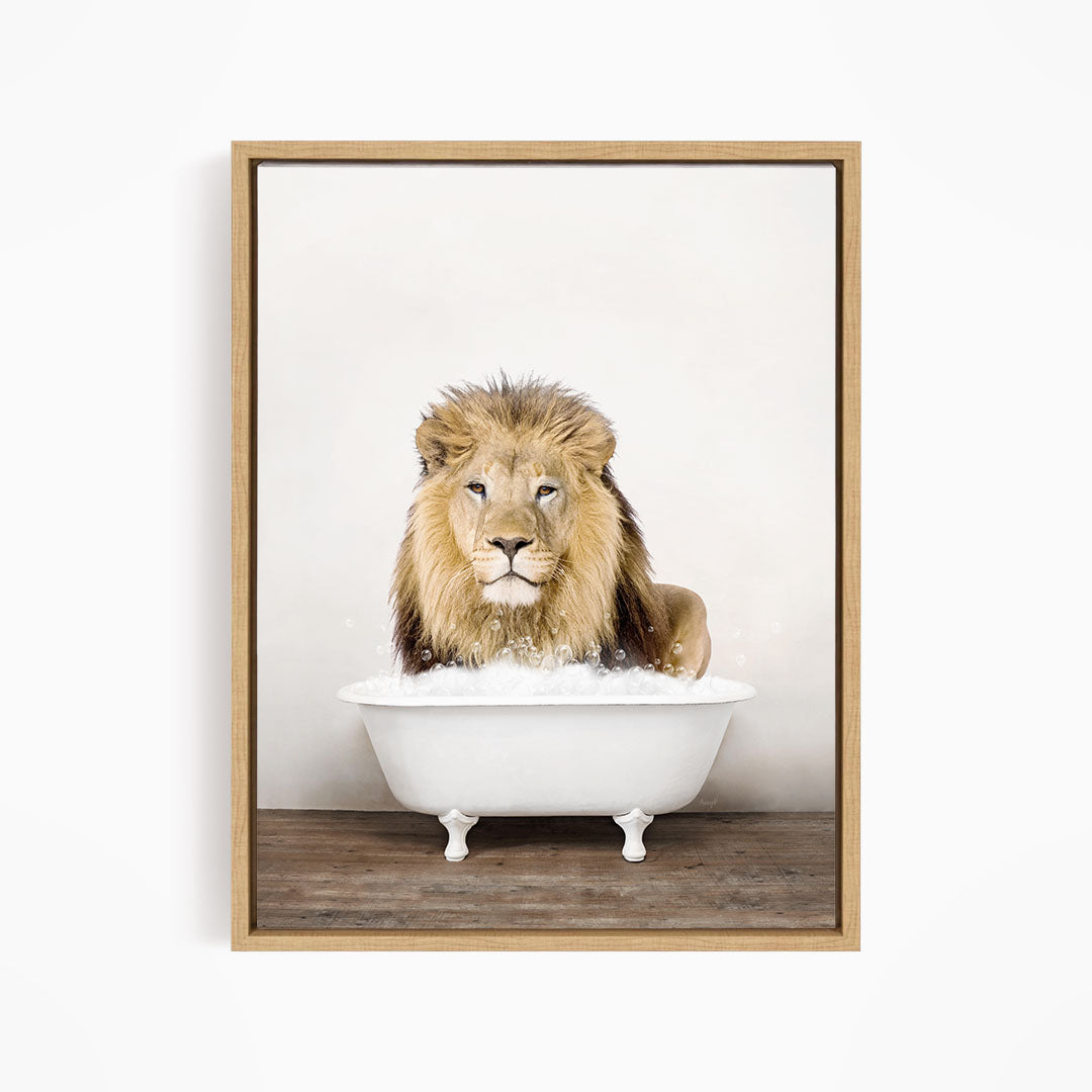 A lion sitting in a white bathtub filled with bubbles, looking directly at the camera.