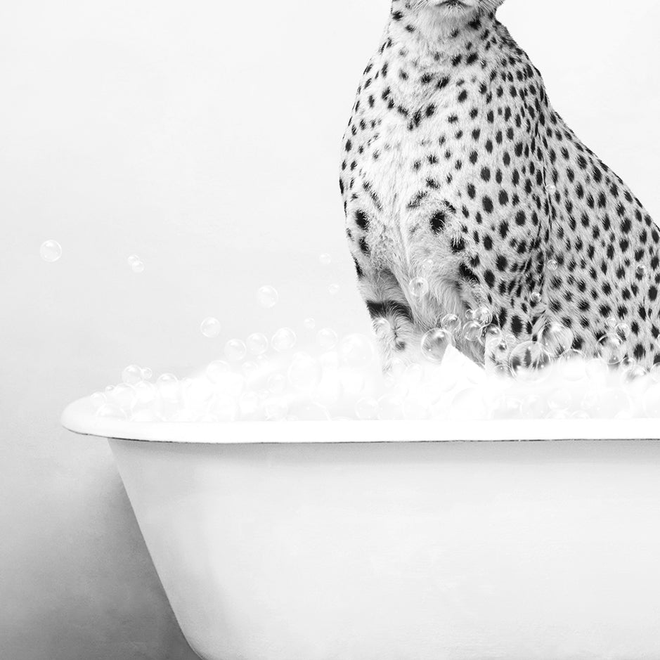 a cheetah sitting in a bathtub full of bubbles