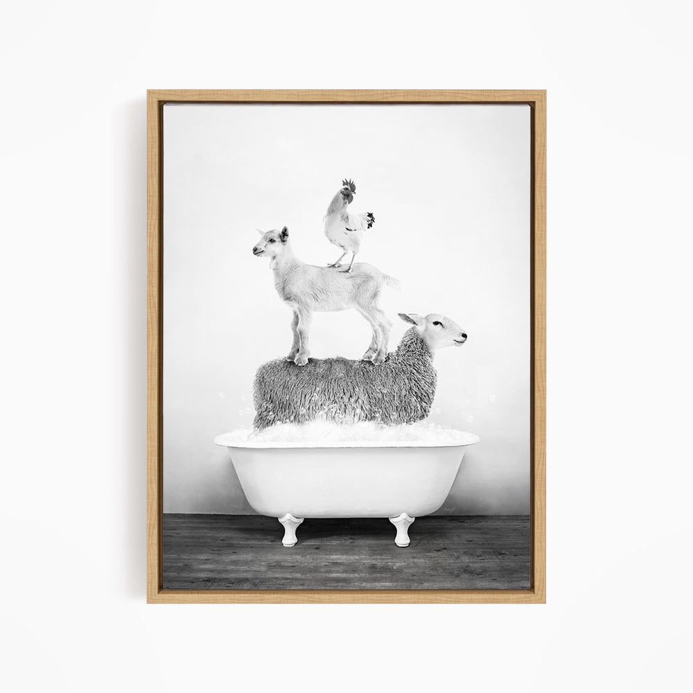 A black and white image of a sheep standing on top of a bathtub filled with water, with a chicken perched on the sheep's back.