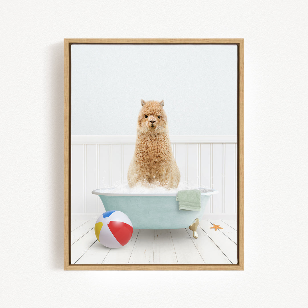 A fluffy brown dog sitting in a blue bathtub filled with bubbles, surrounded by a beach ball and a towel.