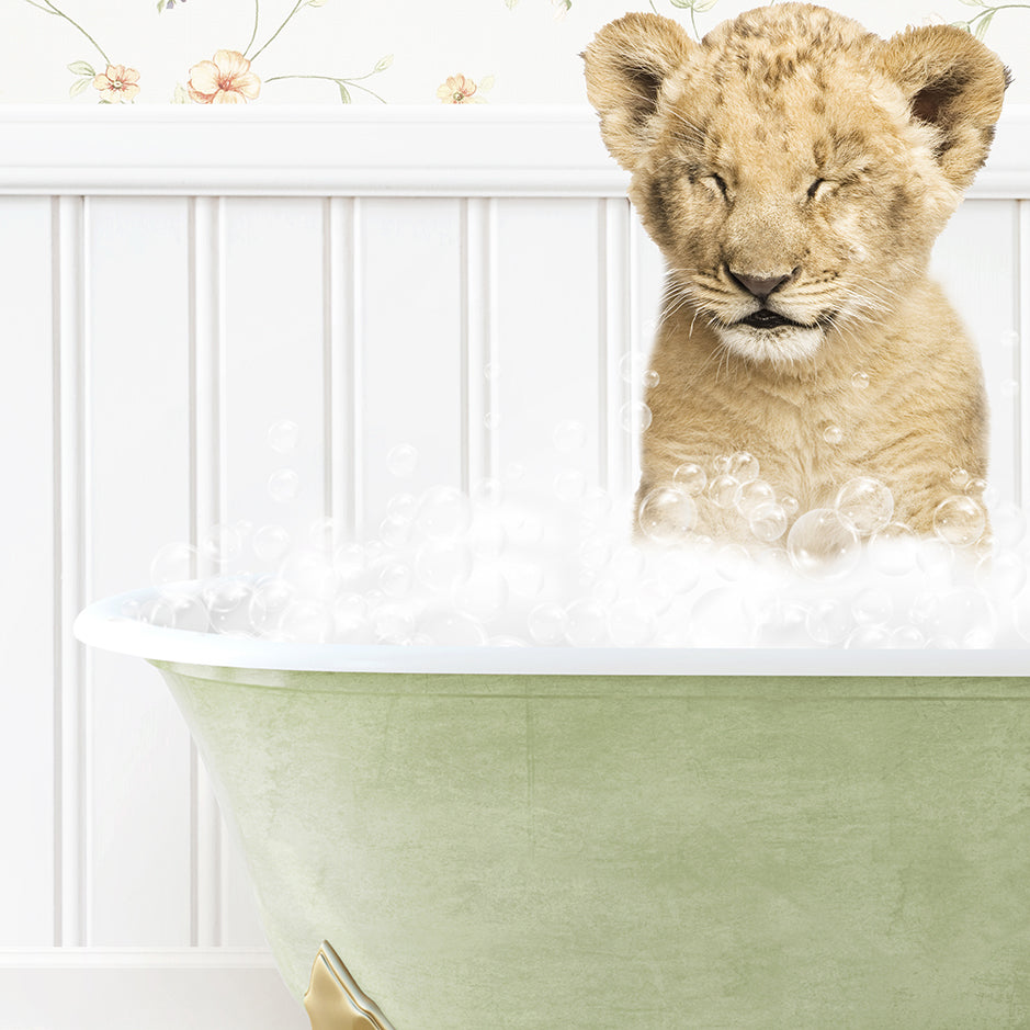 a lion cub sitting in a bathtub full of bubbles