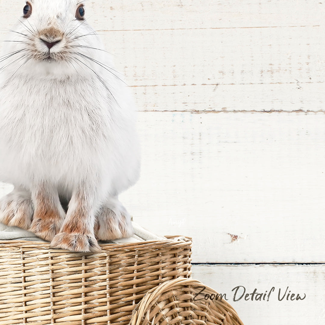 A white rabbit sits on top of a woven basket against a white wooden background.