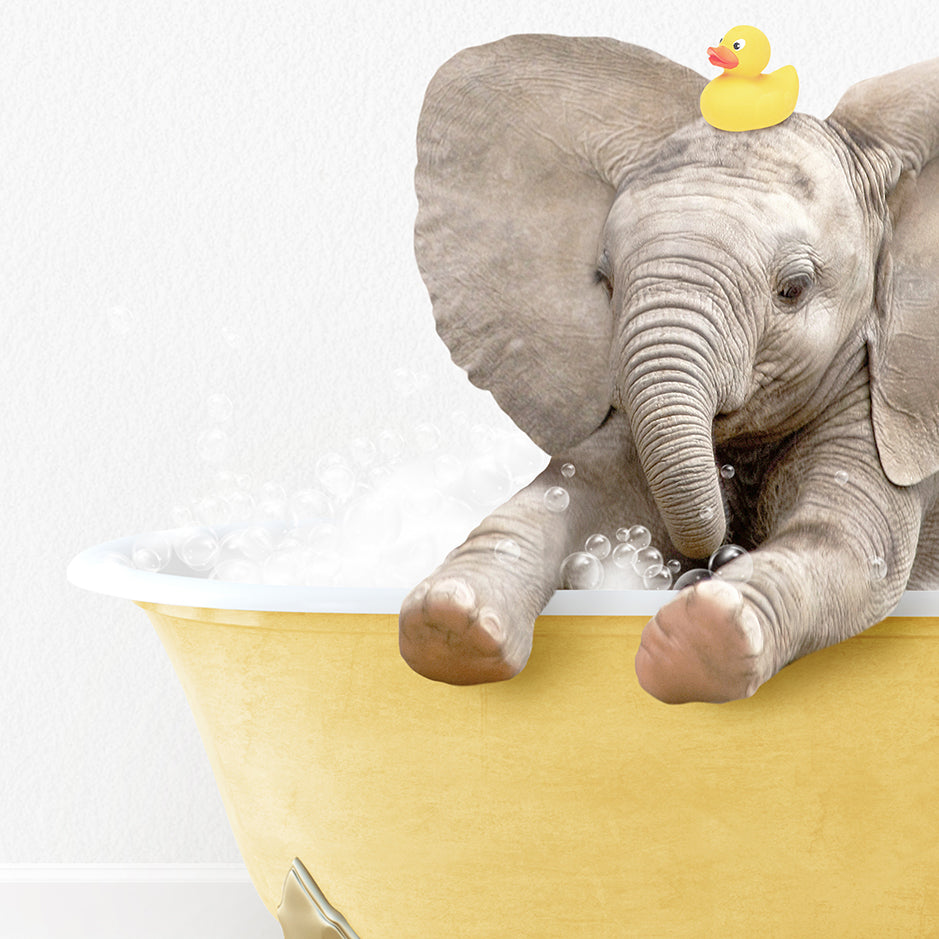 an elephant in a bathtub with a rubber ducky on its head