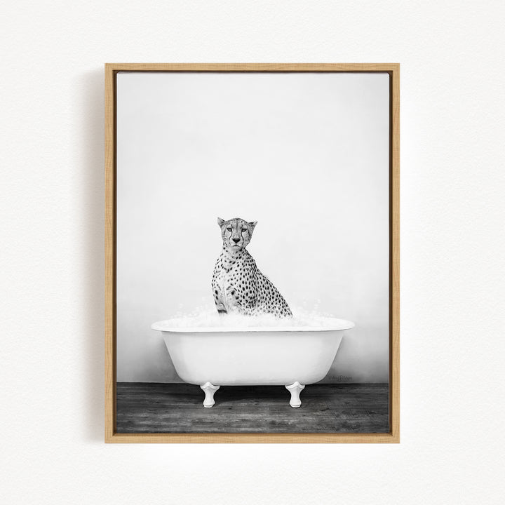 A cheetah sitting in a white bathtub filled with water, looking directly at the camera.