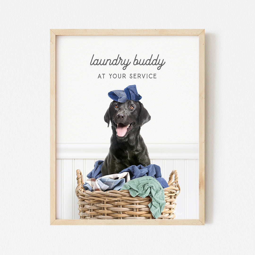 a black dog sitting in a basket with clothes