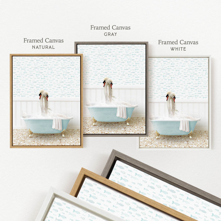 three framed pictures of a swan in a bathtub, each with a different color frame. The swan is depicted in a bathtub filled with water, and the swan is wearing a white towel. The swan is shown in three different color frames: natural, gray, and white.