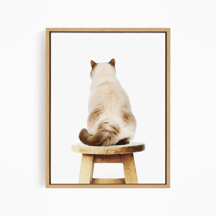 A white cat sitting on a wooden stool, facing away from the camera.