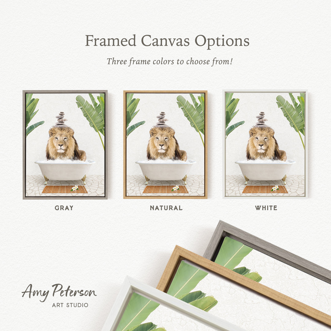 The image is a framed canvas option showcasing three different color options for a painting of a lion in a bathtub, with each color represented by a different frame style.