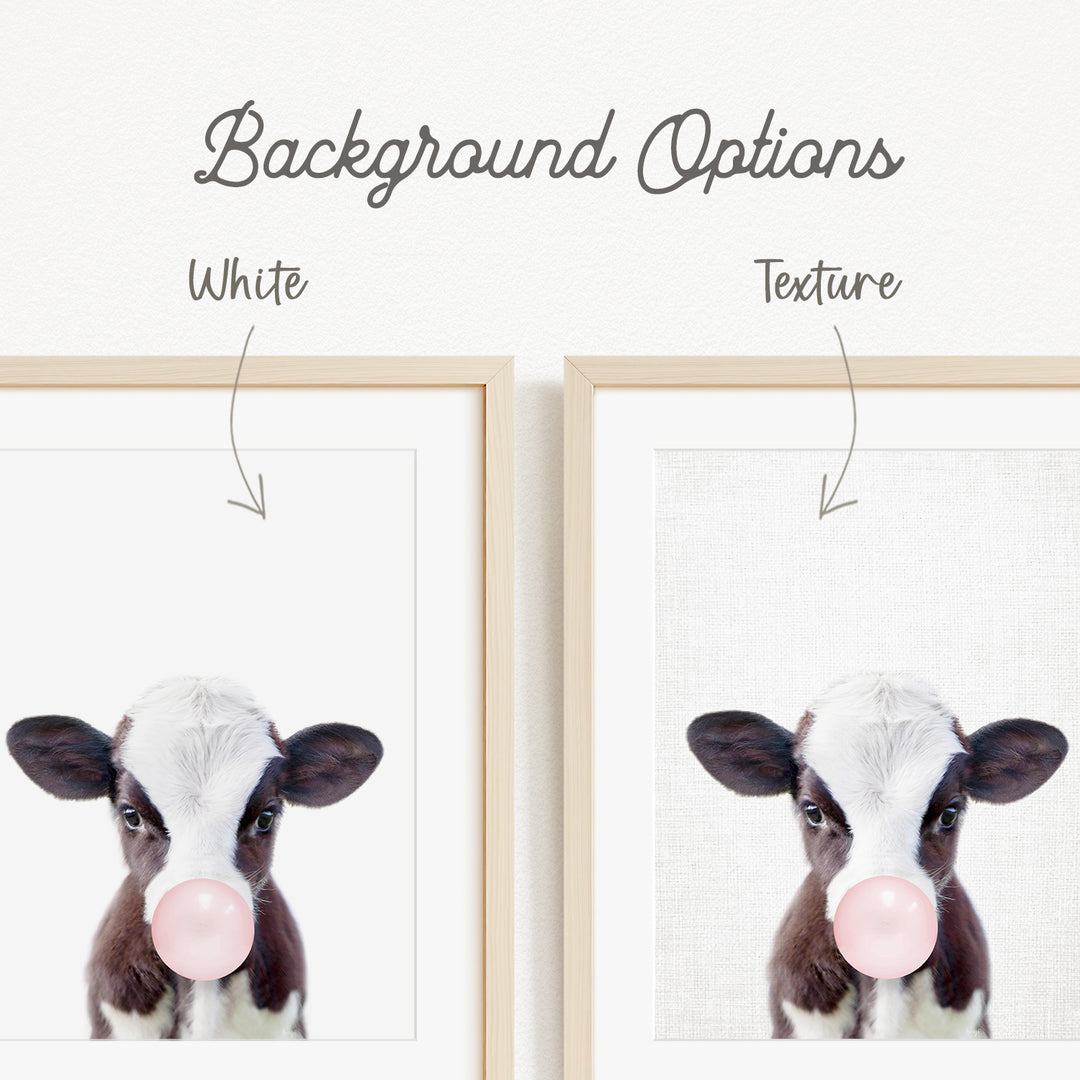 a close-up of a cow's face with a pink bubble gum bubble in its mouth.