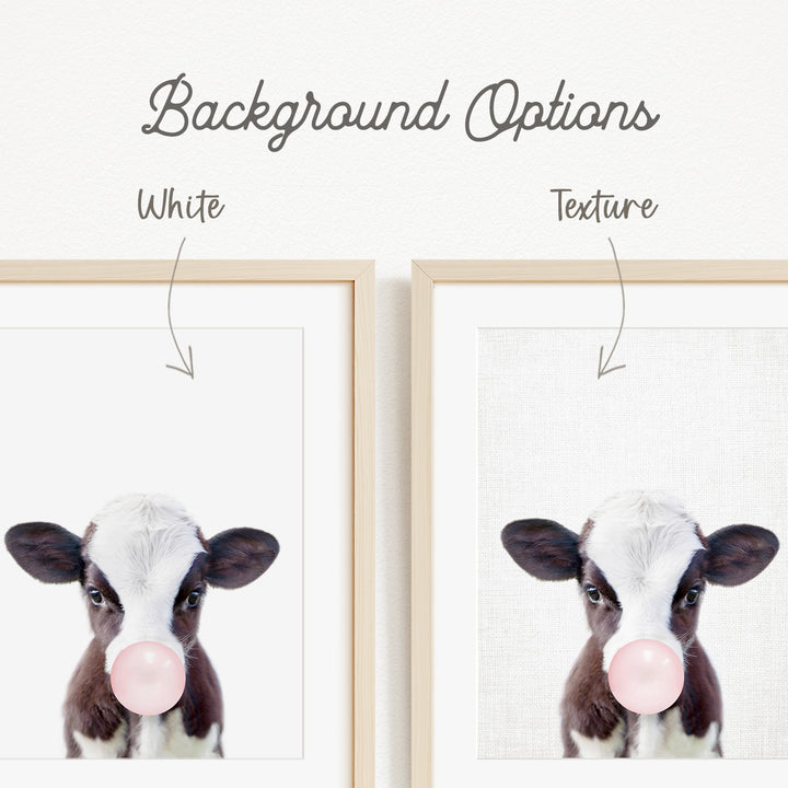 a close-up of a cow's face with a pink bubble gum bubble in its mouth.