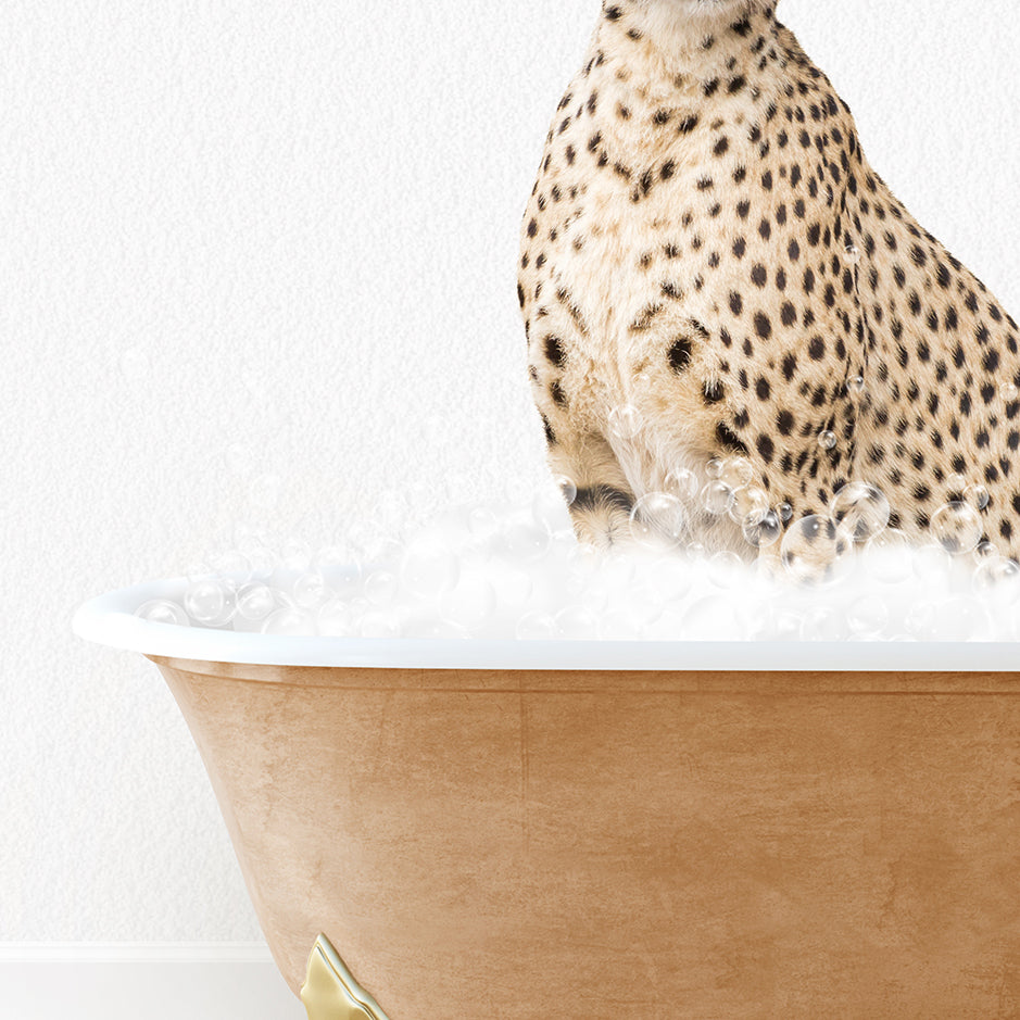 a cheetah sitting in a bathtub full of foam