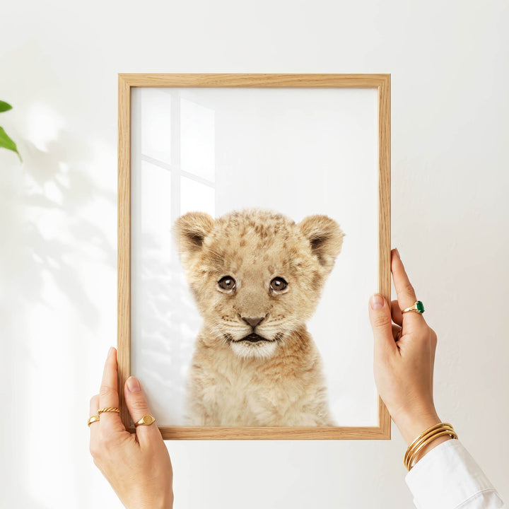 A person's hands are holding a wooden frame with a picture of a young lion inside it.
