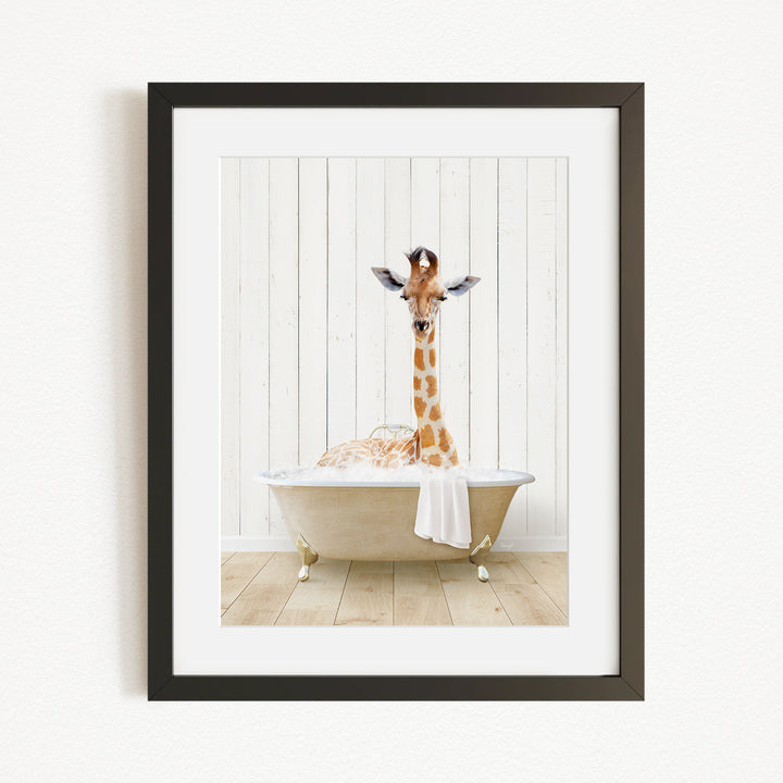 A giraffe sitting in a bathtub filled with water, with its head raised and looking directly at the camera.