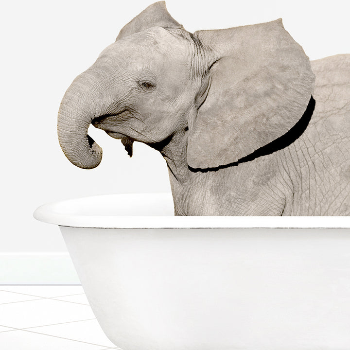 a baby elephant standing inside of a bath tub