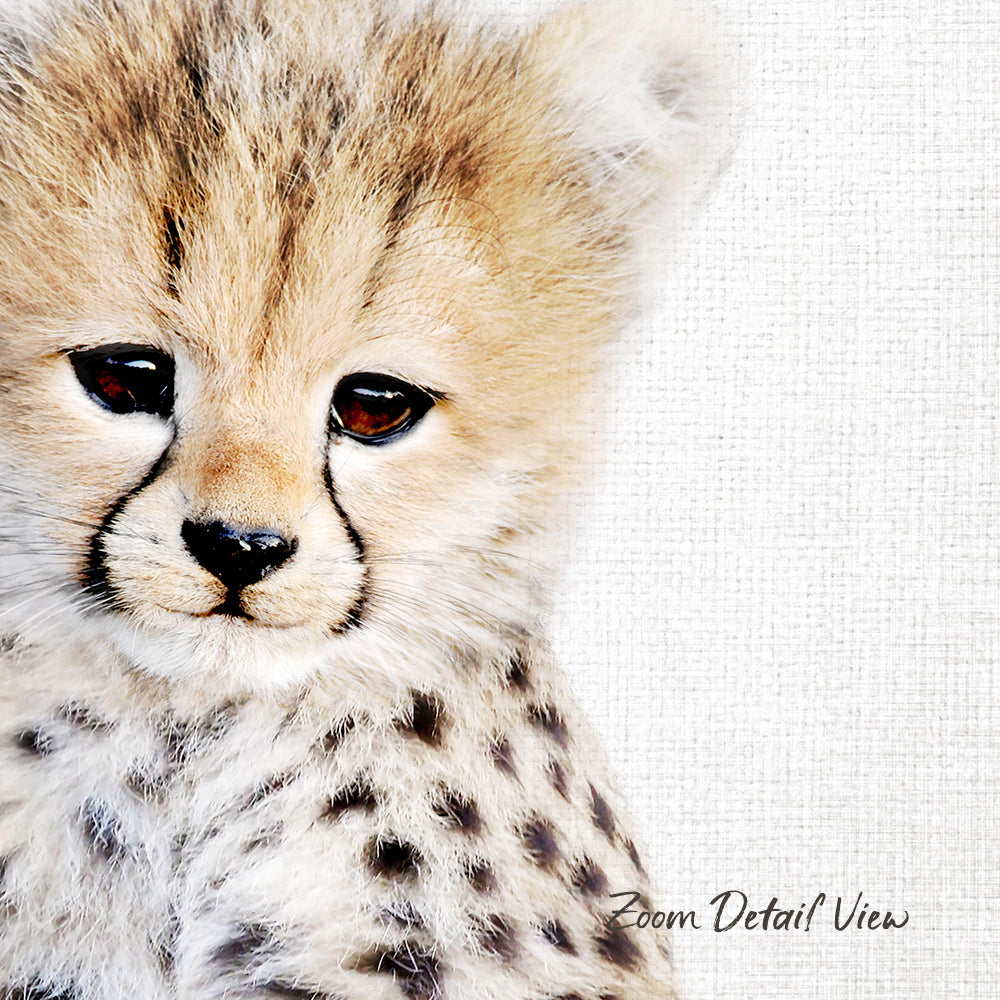 A close-up portrait of a young cheetah cub with its distinctive spotted fur and large, expressive eyes.