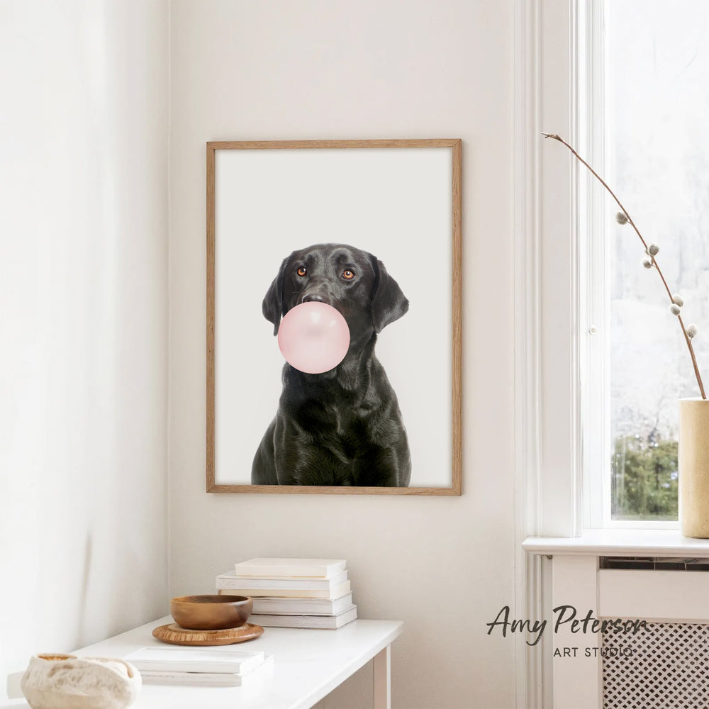 A framed photograph of a black dog blowing a bubble with a pink bubble gum bubble is hanging on a white wall in a room with a white table and a window.