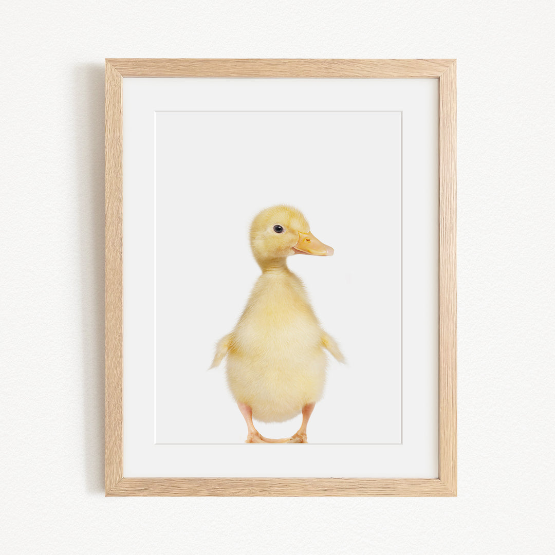 A cute yellow duck standing upright in a white background, framed in a wooden frame.