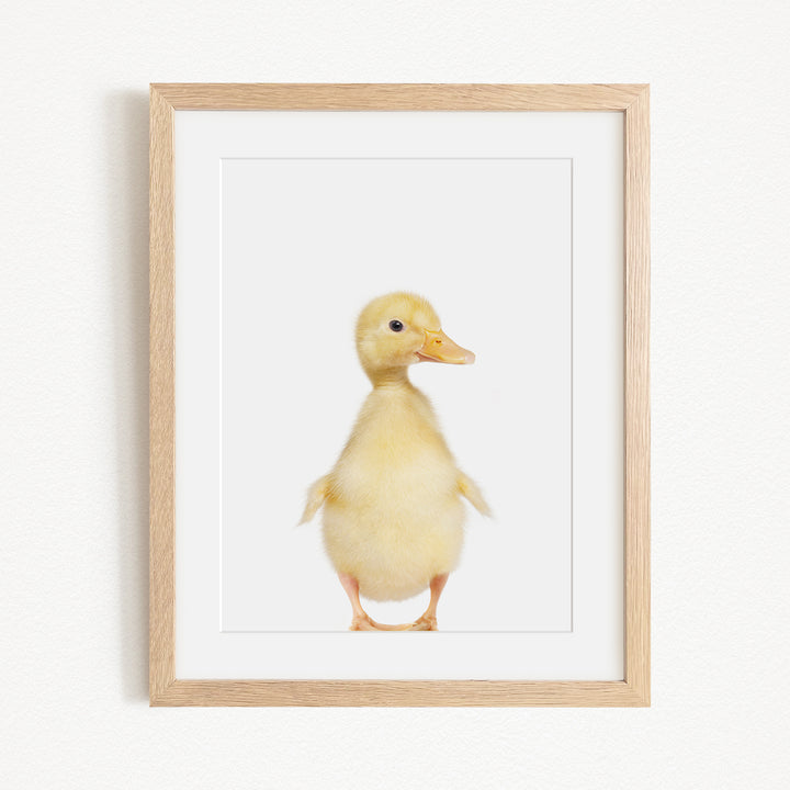 A cute yellow duck standing upright in a white background, framed in a wooden frame.