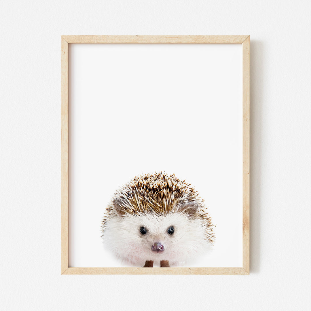 a picture of a hedgehog in a wooden frame