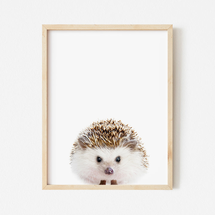 a picture of a hedgehog in a wooden frame