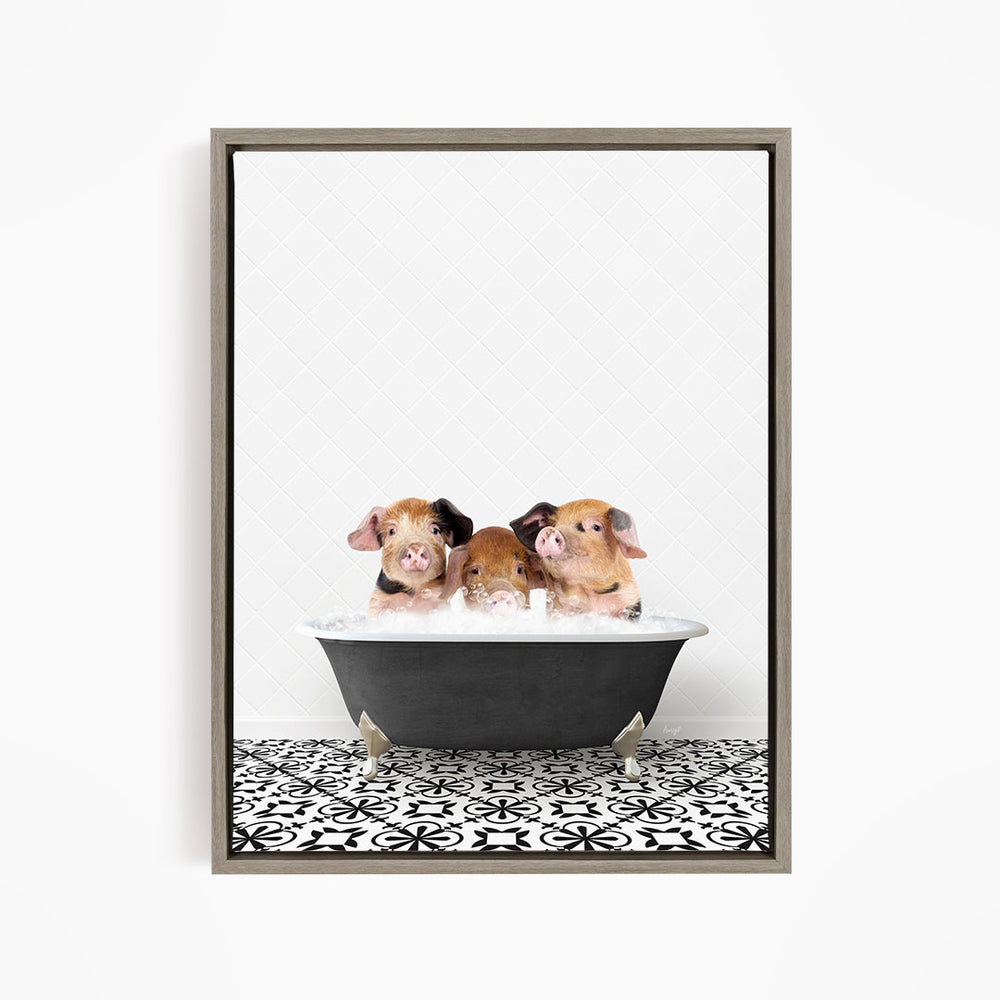 Three adorable pigs sitting in a black bathtub filled with water, creating a playful and whimsical scene.