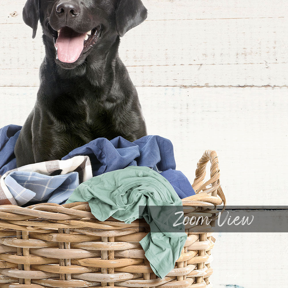 A black dog sitting in a wicker basket filled with clothes, with a wooden wall in the background.