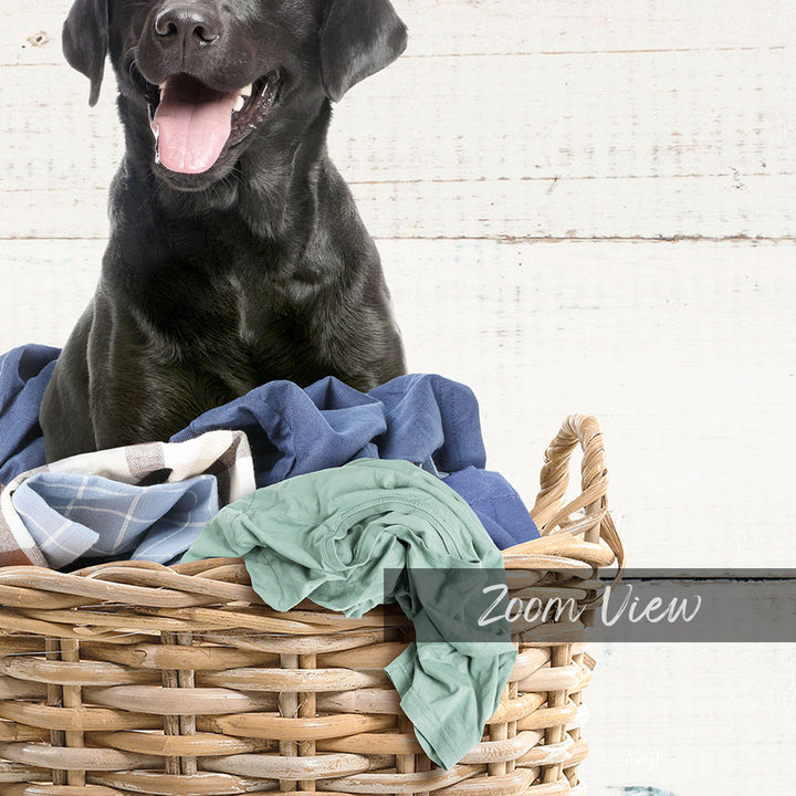 A black dog sitting in a wicker basket filled with clothes, with a wooden wall in the background.