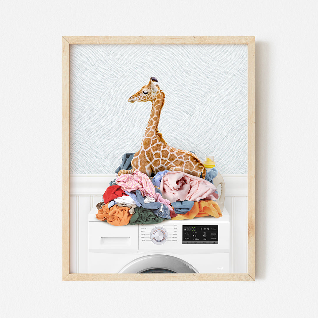 a picture of a giraffe sitting on top of a washing machine