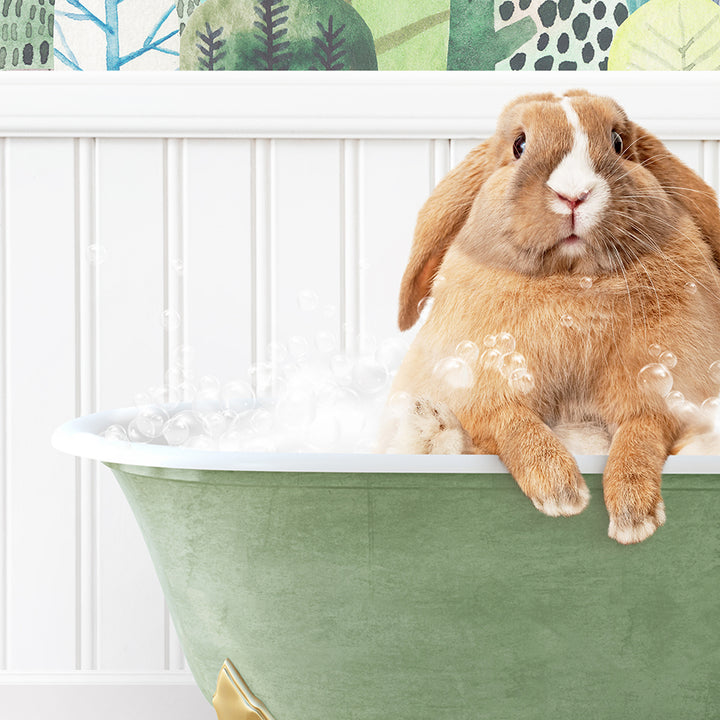 a rabbit sitting in a bathtub full of bubbles