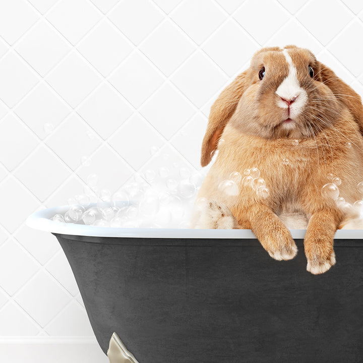 a rabbit is sitting in a bathtub full of bubbles