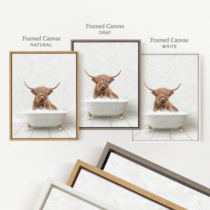 a brown Highland cow sitting in a white bathtub, with three different framed canisters of the same size and color, each containing a different colored frame.