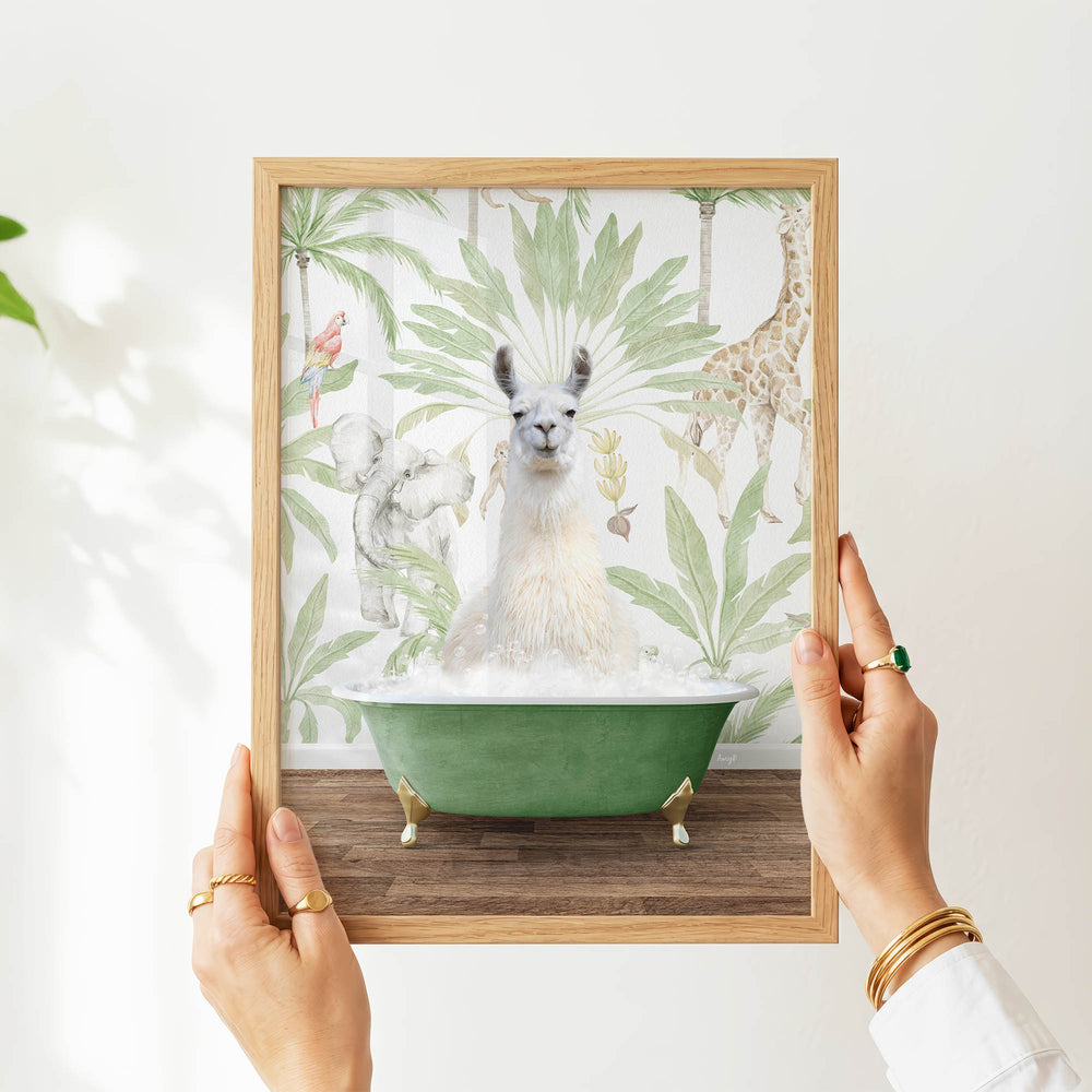 A person's hands are holding a framed picture of a white llama sitting in a green bathtub, surrounded by tropical foliage.
