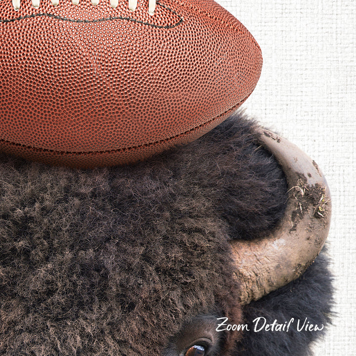 A close-up image of a bison's head with a football resting on top of it.