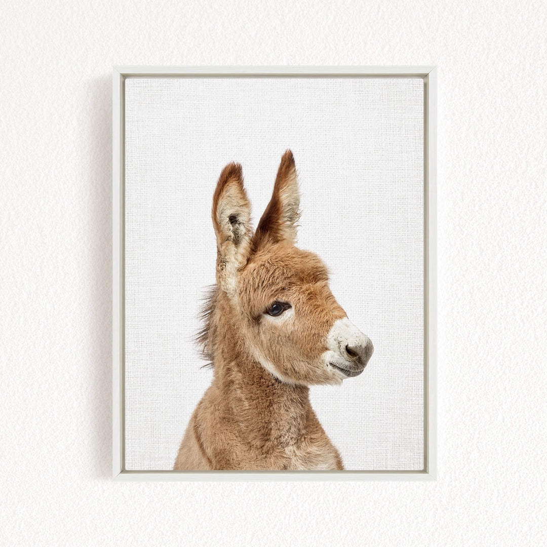 A close-up portrait of a donkey with a white muzzle and brown ears, looking directly at the camera.