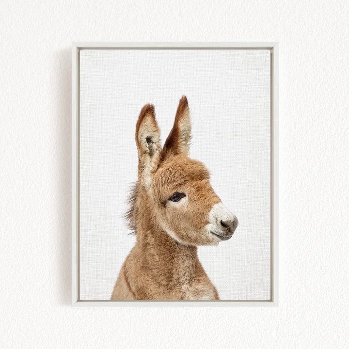 A close-up portrait of a donkey with a white muzzle and brown ears, looking directly at the camera.