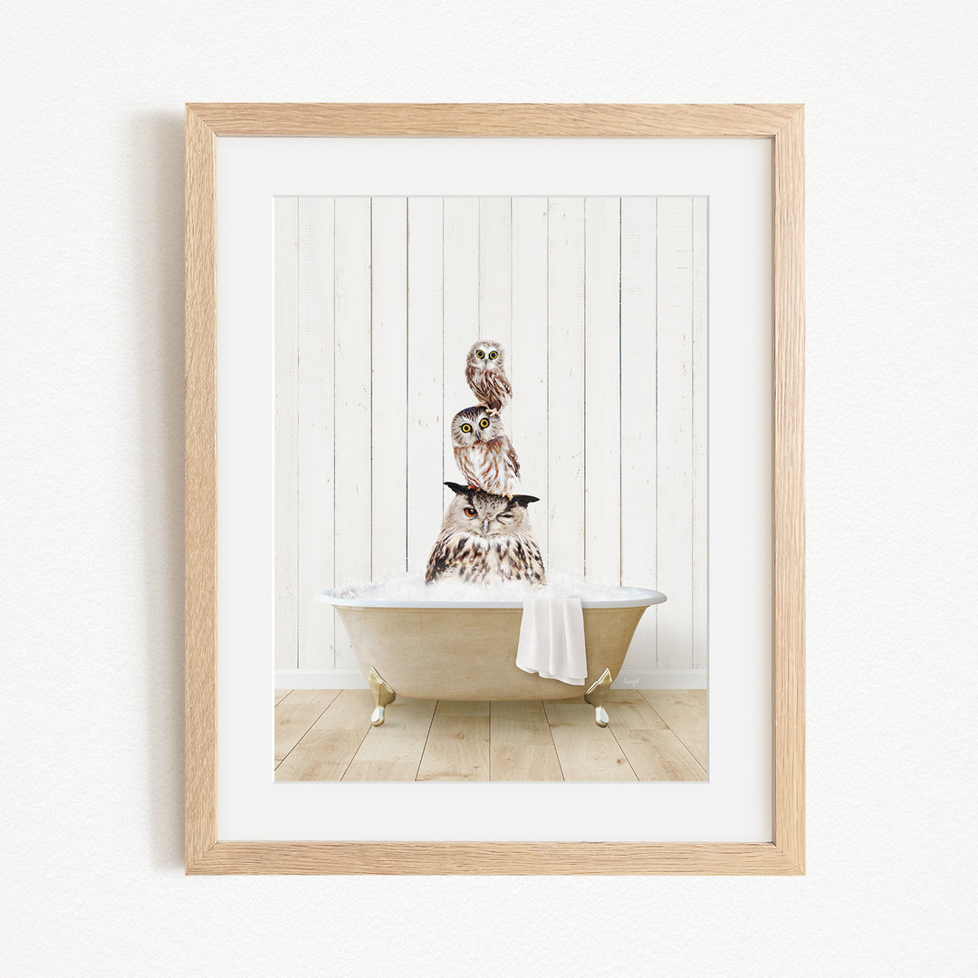A framed image depicting a group of owls sitting in a bathtub, with one owl perched on top of the others.