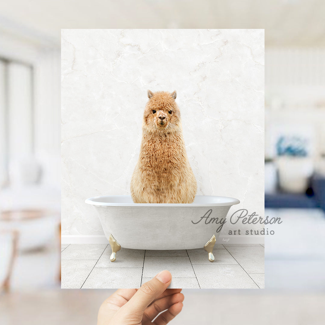 a hand holding a photo of a llama in a bathtub