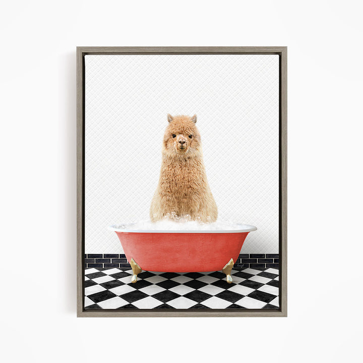 A fluffy brown dog sitting in a red bathtub filled with bubbles, with a black and white checkered floor in the background.